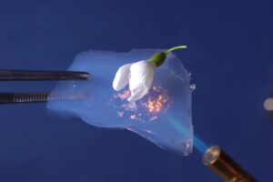 Aerogel materiale