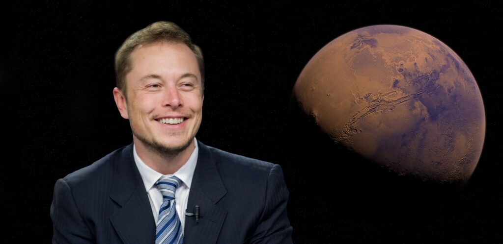 Elon Musk videogame