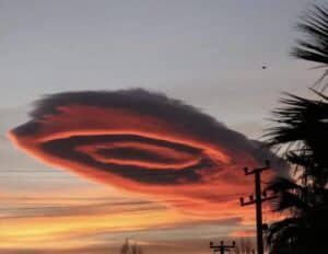 ufo rosa