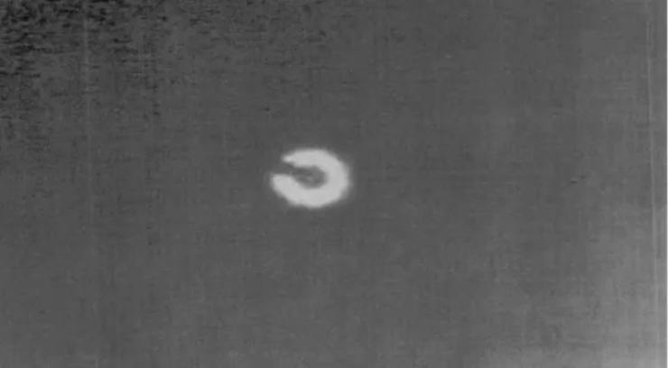 Il misterioso oggetto abbattuto dall'aeronautica (TheSun)