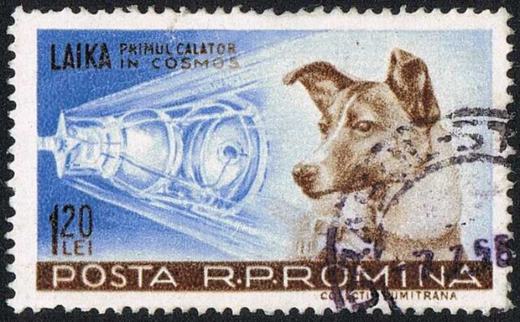 Francobollo dedicato a Laika (Wikimedia Commons)