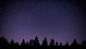 Stelle