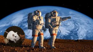 Astronauti e topo