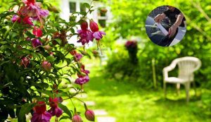 Giardino multa