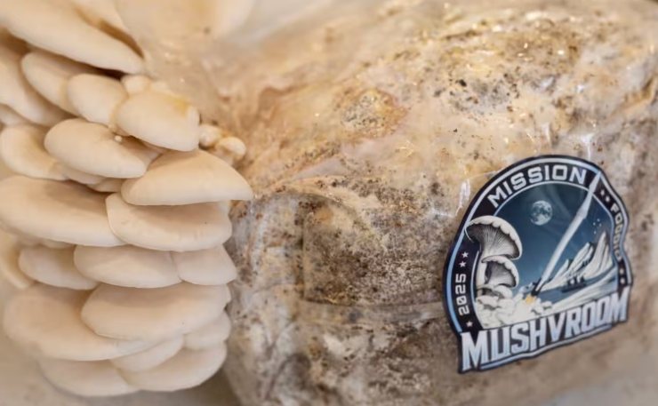 I funghi per la missione (FOODiQ Global foto)