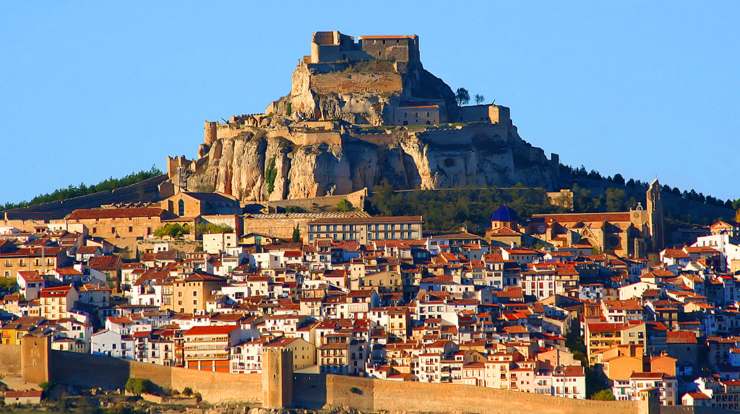 Morella