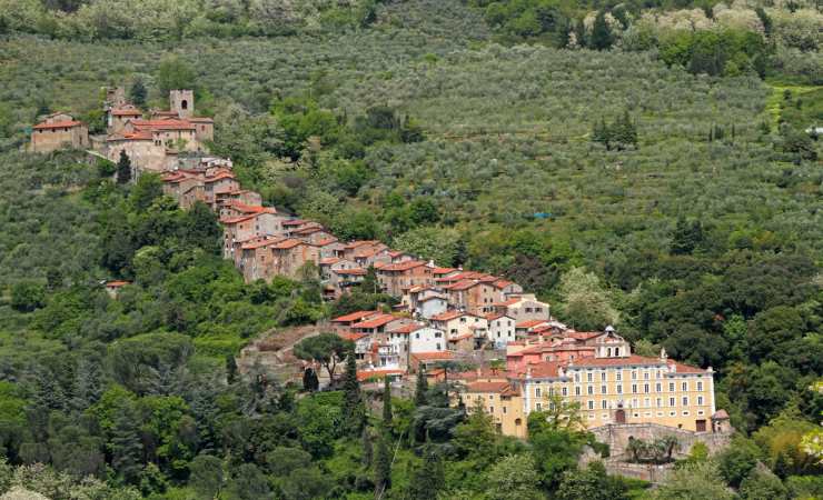 collodi toscana