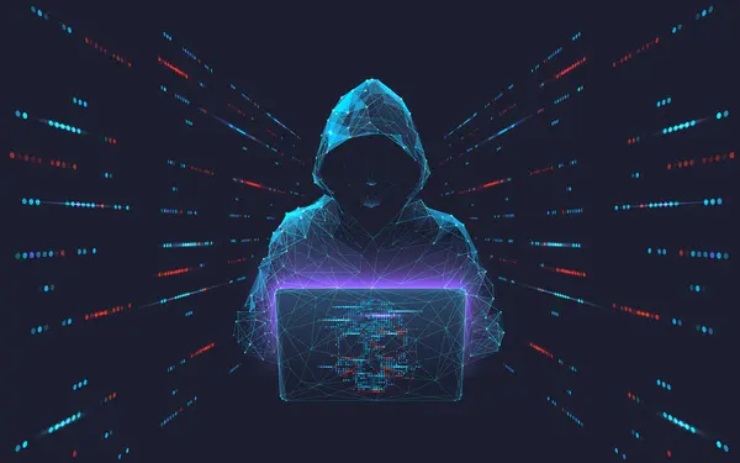 Criminale informatico