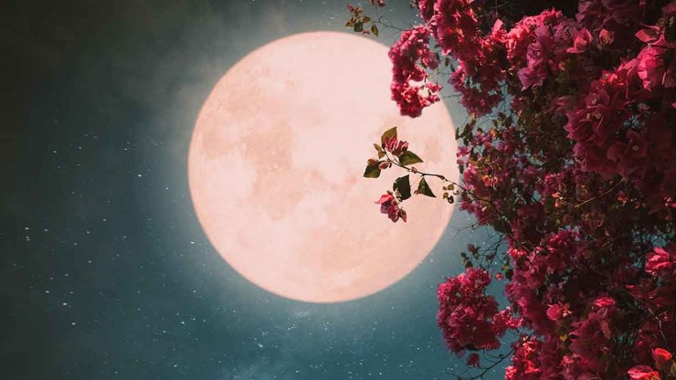 Luna dei Fiori