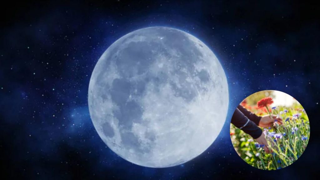 Luna e raccolti