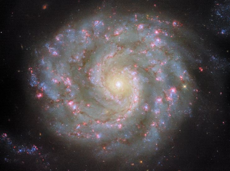 NGC 3596