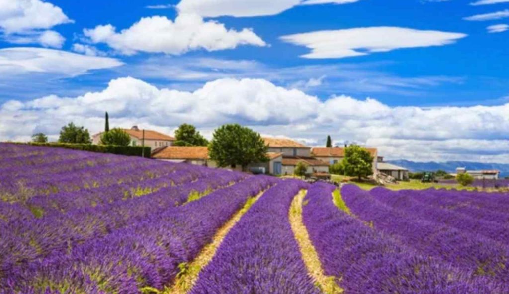 Paesaggio della Provenza (Depositphotos foto) - www.aerospacecue.it