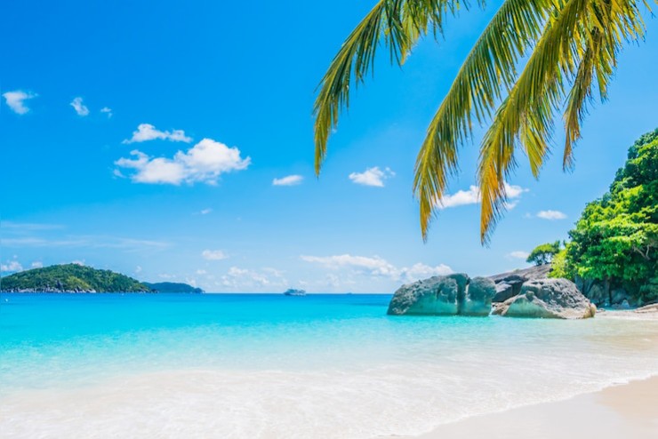 Spiaggia tropicale