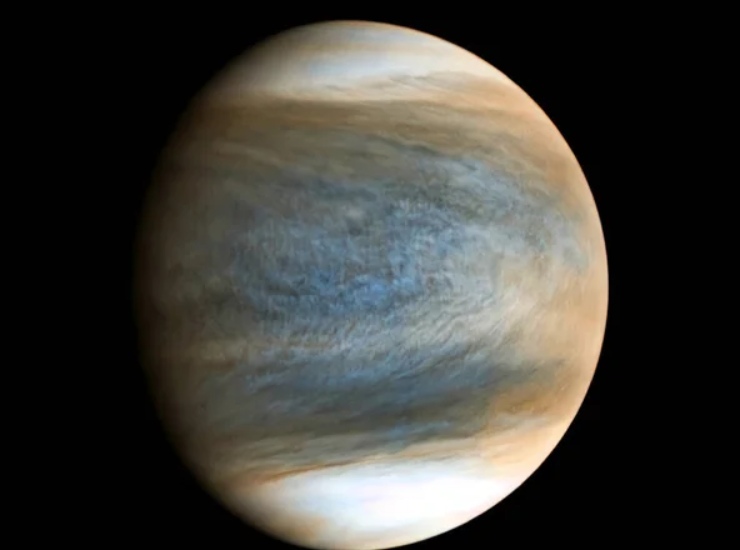 Venere