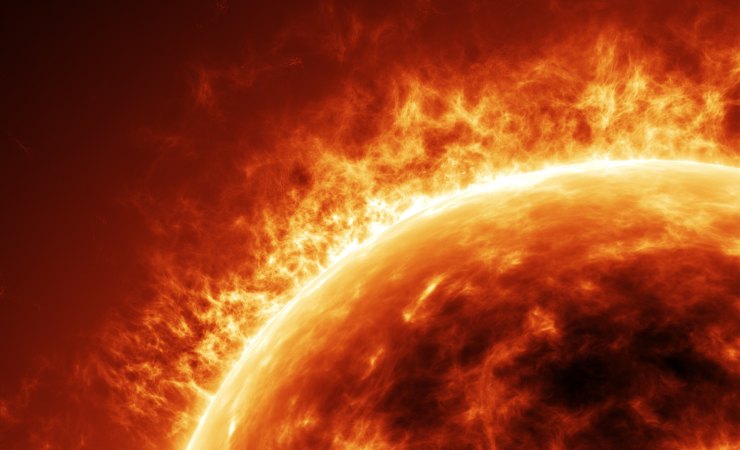 Sole