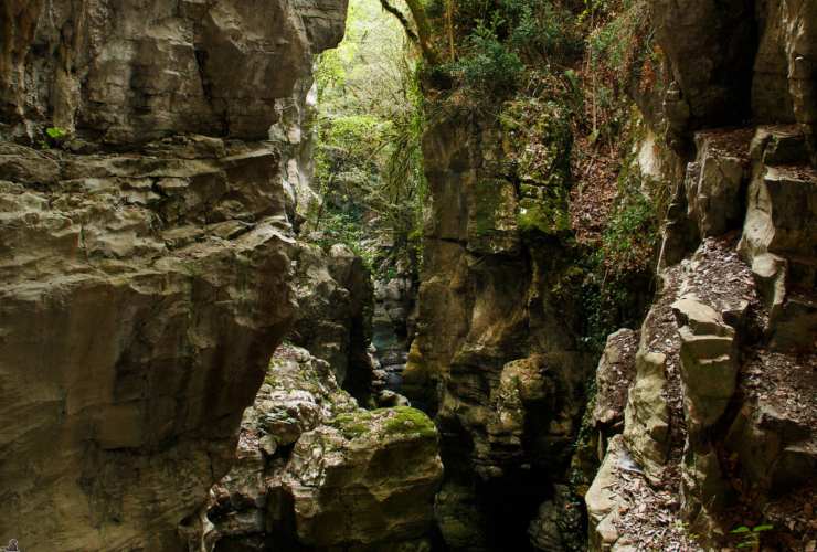 Illustrazione delle Grotte del Bussento (Canva FOTO) - aerospacecue.it