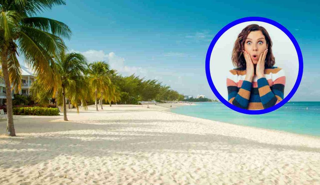 Isola