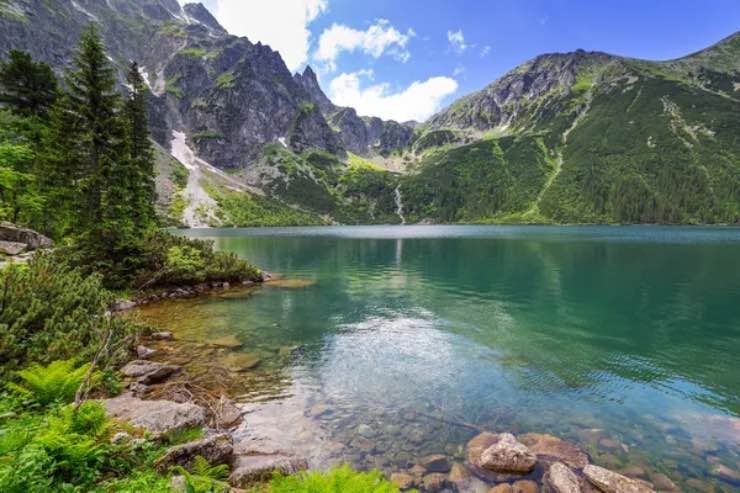 Lago 