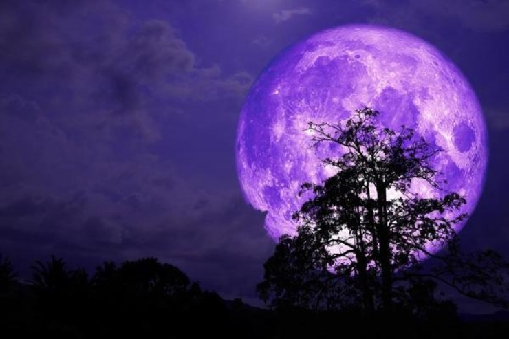 Luna di fragola