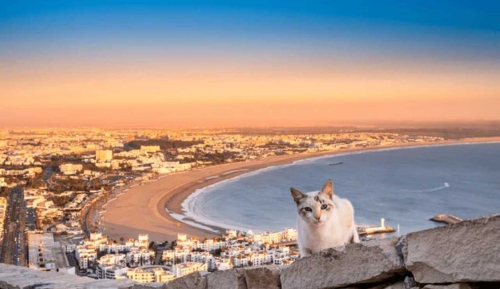 Agadir