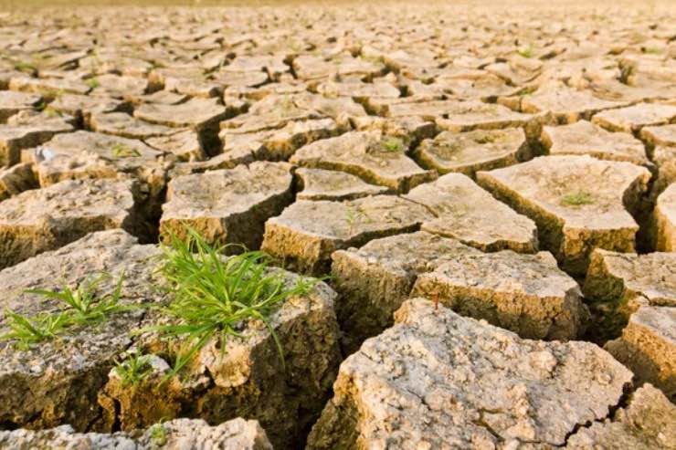 Desertificazione 