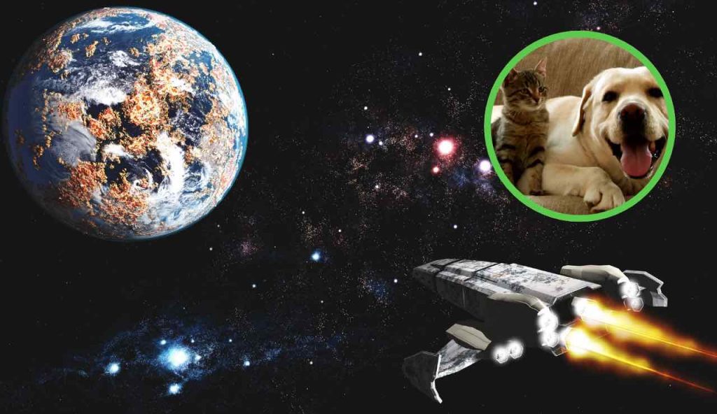 Animali nello spazio