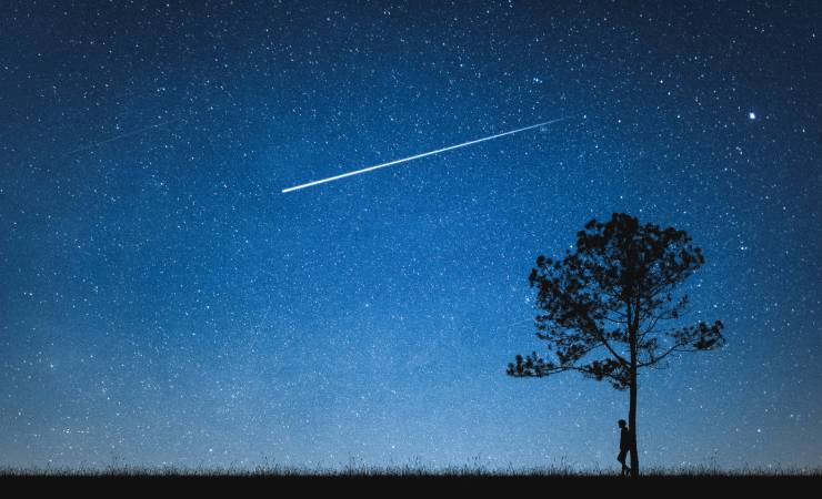Stelle