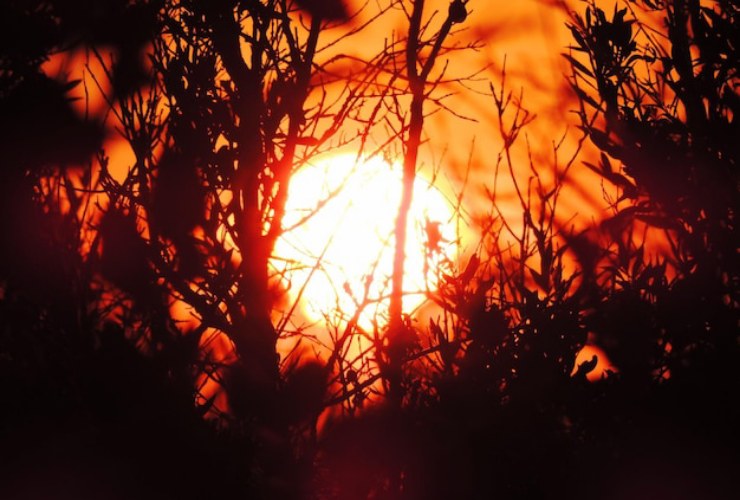 Il Sole