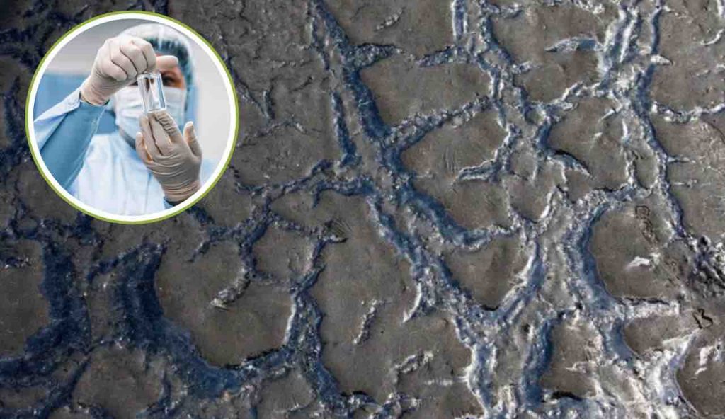 Allarme permafrost