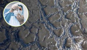 Allarme permafrost