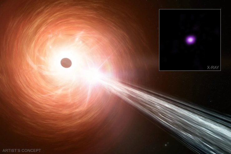 Illustrazione artistica del buco nero (NASA_CXC_SAO_M. Weiss X-ray_ NASA_CXC_INAF-Brera_L. Ighina et al., FOTO) - aerospacecue.it