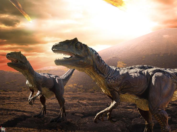 Illustrazione dell'estinzione in corso (Canva FOTO) - aerospacecue.it