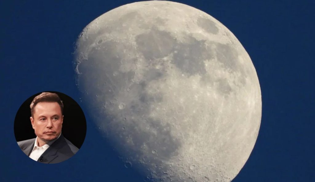 Luna e Elon Musk