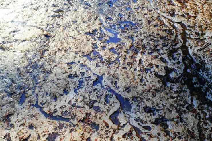 Permafrost 